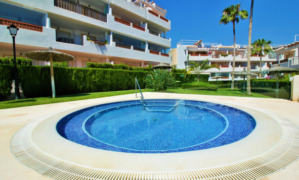 Reventa - 1. Apartamento / piso - Villamartin - Costa Blanca Sur