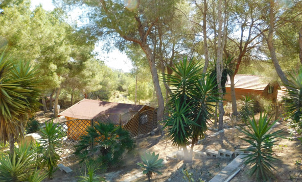 Resale - 7. Finca / Country property - Torremendo - Costa Blanca South