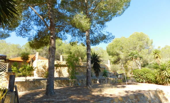 Resale - 7. Finca / Country property - Torremendo - Costa Blanca South