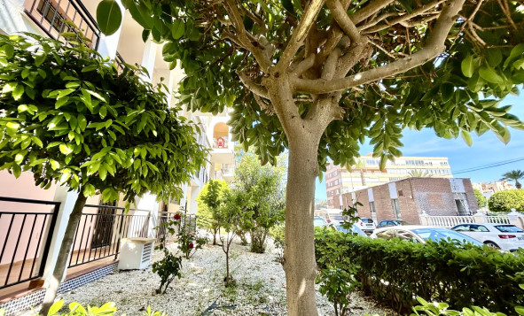 Resale - 1. Apartment / flat - Torrevieja - Costa Blanca South