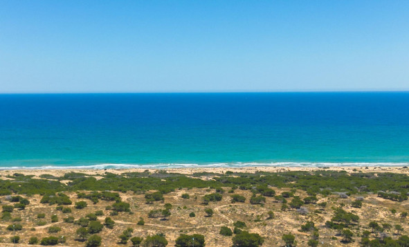 Resale - 1. Apartment / flat - Guardamar del Segura - El moncayo