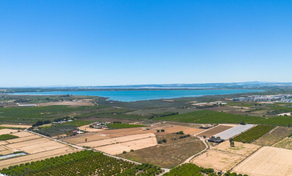 Resale - 1. Apartment / flat - Guardamar del Segura - El moncayo