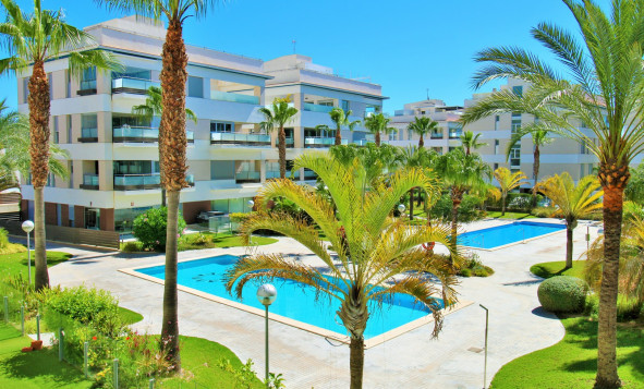 Reventa - 1. Apartamento / piso - Villamartin - Costa Blanca Sur