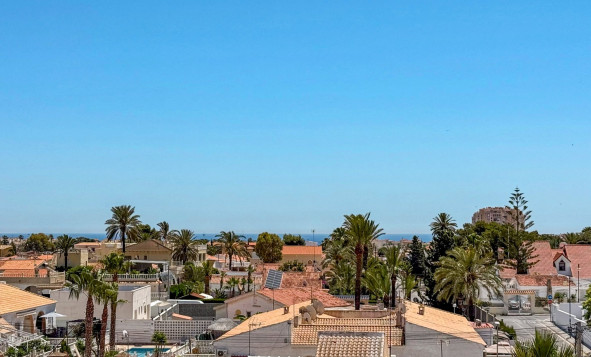 Reventa - 1. Apartamento / piso - Torrevieja - Costa Blanca Sur