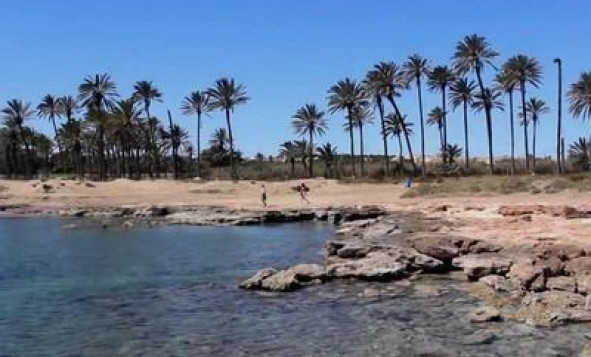 Resale - 1. Apartment / flat - Torrevieja - Costa Blanca South