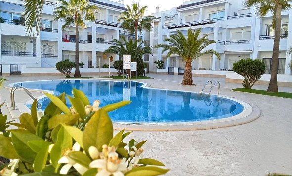 Reventa - 1. Apartamento / piso - Torrevieja - Costa Blanca Sur