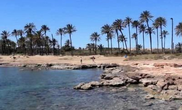 Reventa - 1. Apartamento / piso - Torrevieja - Costa Blanca Sur