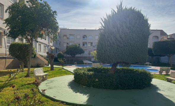 Reventa - 1. Apartamento / piso - Torrevieja - Costa Blanca Sur
