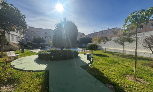 Reventa - 1. Apartamento / piso - Torrevieja - Costa Blanca Sur