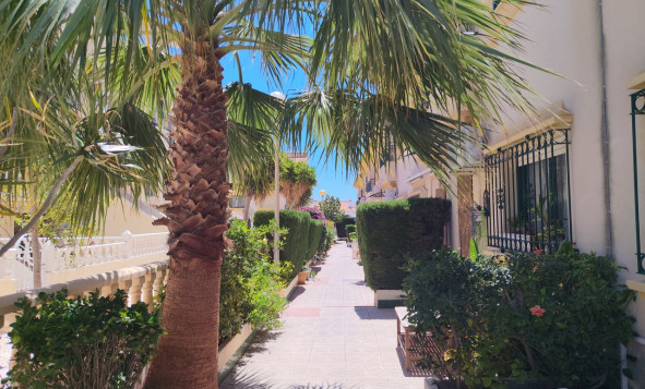 Reventa - 2. Chalet adosado - La Zenia - Costa Blanca Sur