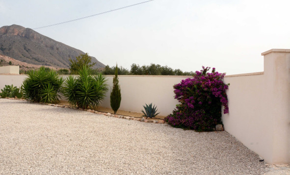 Resale - 7. Finca / Country property - Macisvenda