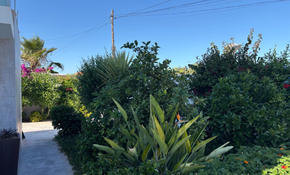 Resale - 3. Detached house - Torrevieja - Torreta - Florida
