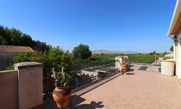 Reventa - 7. Finca - Albatera - Albatera - Country