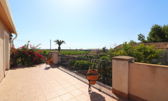 Reventa - 7. Finca - Albatera - Albatera - Country