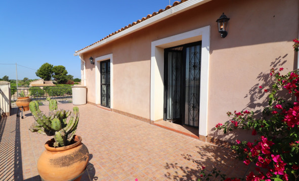 Reventa - 7. Finca - Albatera - Albatera - Country