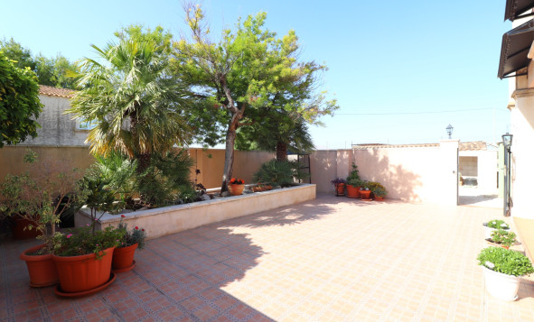 Reventa - 7. Finca - Albatera - Albatera - Country