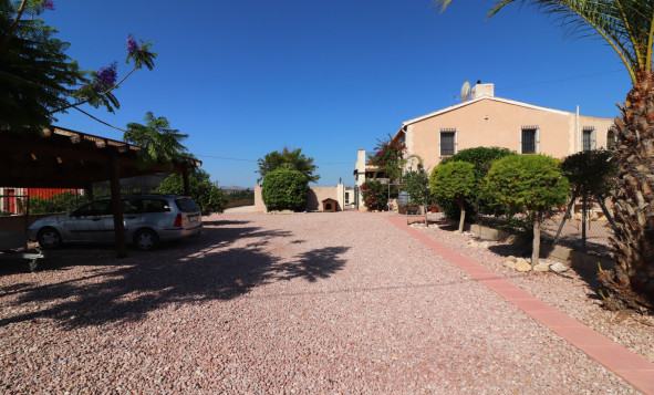 Reventa - 7. Finca - Albatera - Albatera - Country