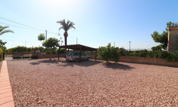Reventa - 7. Finca - Albatera - Albatera - Country