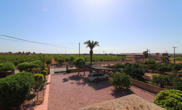 Reventa - 7. Finca - Albatera - Albatera - Country