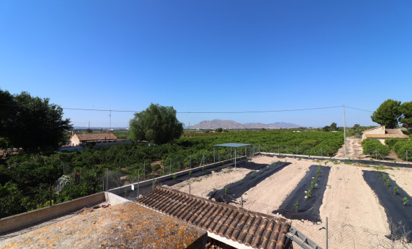 Reventa - 7. Finca - Albatera - Albatera - Country