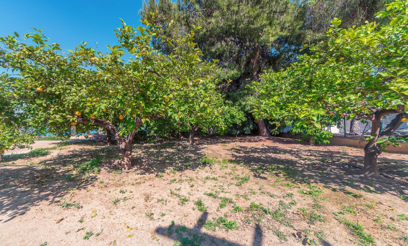 Resale - 3. Detached house - San Vicente del Raspeig - Costa Blanca North