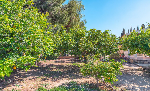 Resale - 3. Detached house - San Vicente del Raspeig - Costa Blanca North