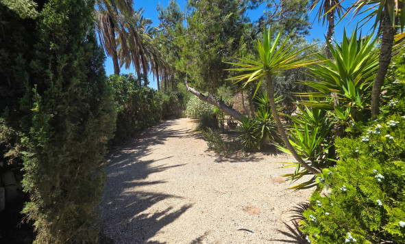 Resale - 3. Detached house - Elche - Costa Blanca South