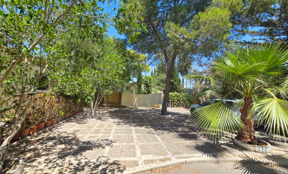 Resale - 3. Detached house - Elche - Costa Blanca South