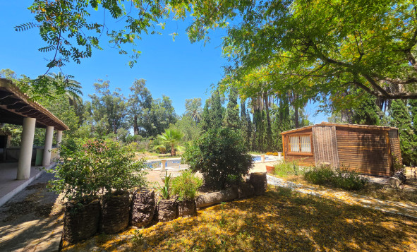 Resale - 3. Detached house - Elche - Costa Blanca South