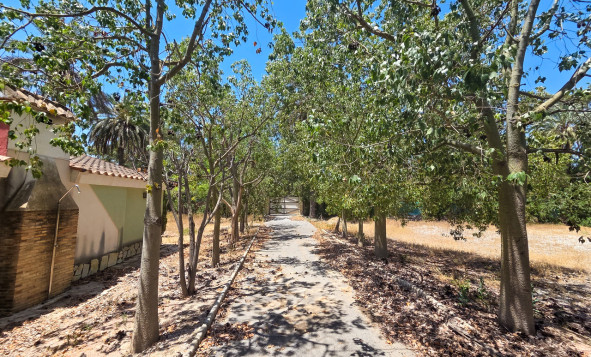Resale - 3. Detached house - Elche - Costa Blanca South