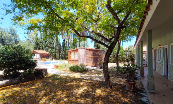 Resale - 3. Detached house - Elche - Costa Blanca South