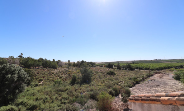 Reventa - 3. Casa indepiende - San Miguel de Salinas - Lake View Mansions