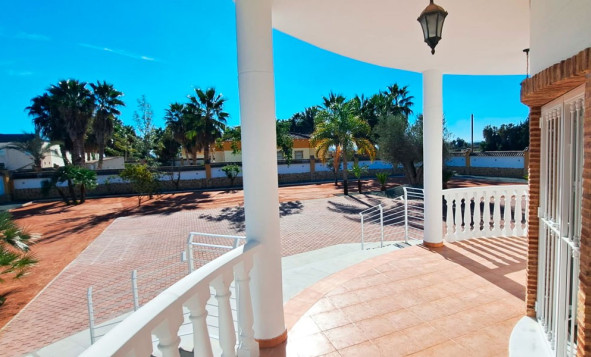 Reventa - 7. Finca - Catral - Costa Blanca Sur