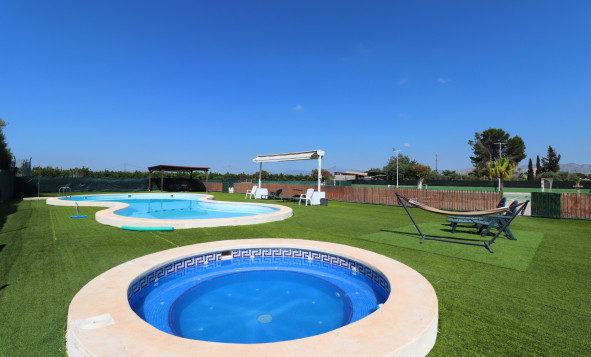 Reventa - 7. Finca - Benferri - Benferri - Country