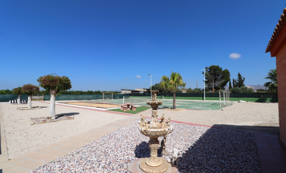 Reventa - 7. Finca - Benferri - Benferri - Country