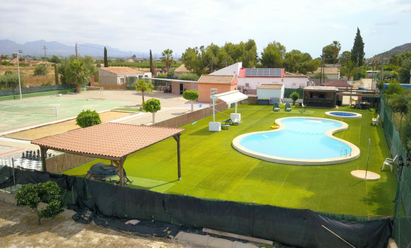 Reventa - 7. Finca - Benferri - Benferri - Country