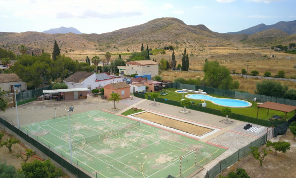 Reventa - 7. Finca - Benferri - Benferri - Country