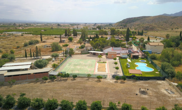 Reventa - 7. Finca - Benferri - Benferri - Country