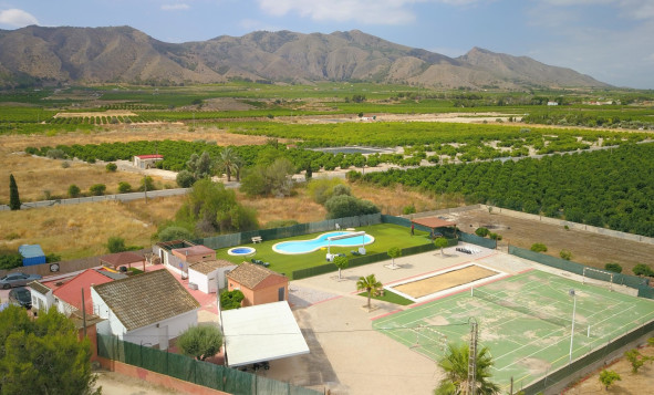 Reventa - 7. Finca - Benferri - Benferri - Country