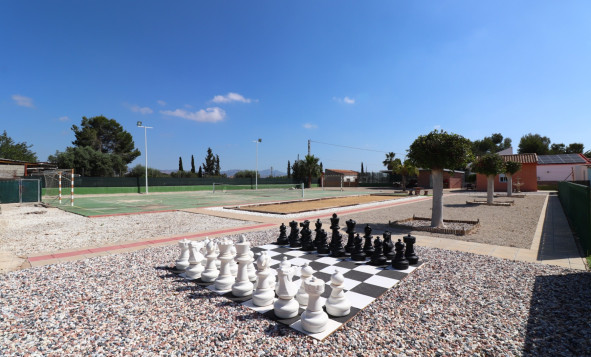 Reventa - 7. Finca - Benferri - Benferri - Country
