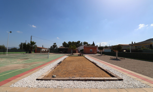 Reventa - 7. Finca - Benferri - Benferri - Country