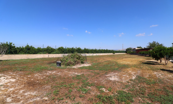 Reventa - 7. Finca - Benferri - Benferri - Country