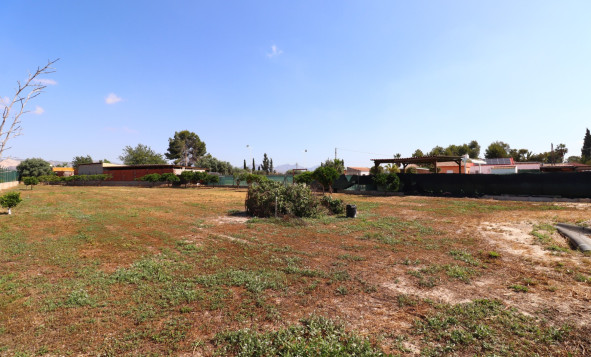 Reventa - 7. Finca - Benferri - Benferri - Country