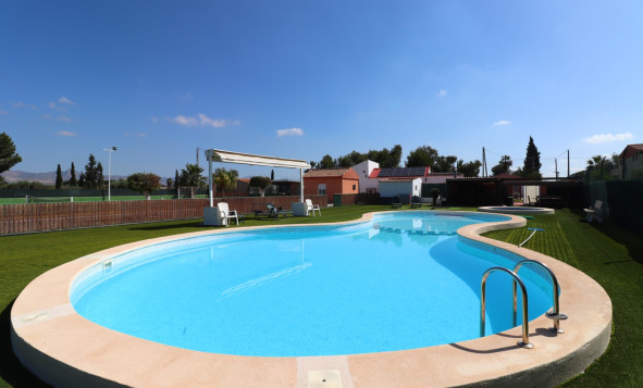 Reventa - 7. Finca - Benferri - Benferri - Country