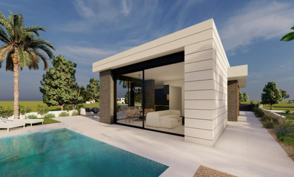 Obra nueva - 3. Casa indepiende - Pilar de la Horadada - Costa Blanca Sur
