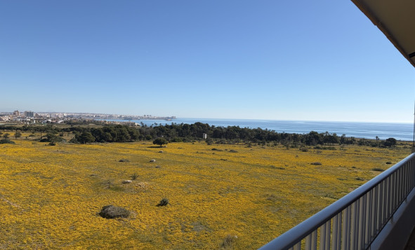Reventa - 1. Apartamento / piso - Punta Prima - Costa Blanca Sur