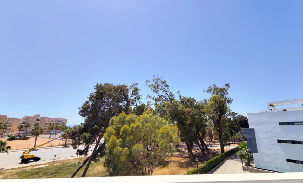 Resale - 1. Apartment / flat - Guardamar del Segura - Costa Blanca South