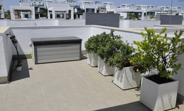 Resale - 1. Apartment / flat - Guardamar del Segura - Costa Blanca South