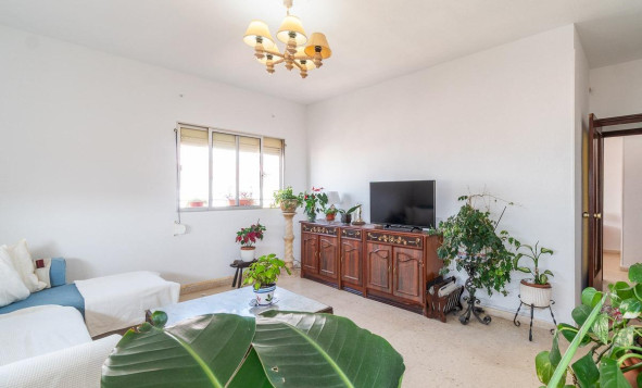 Reventa - 1. Apartamento / piso - Torrevieja - Curva del Palangre