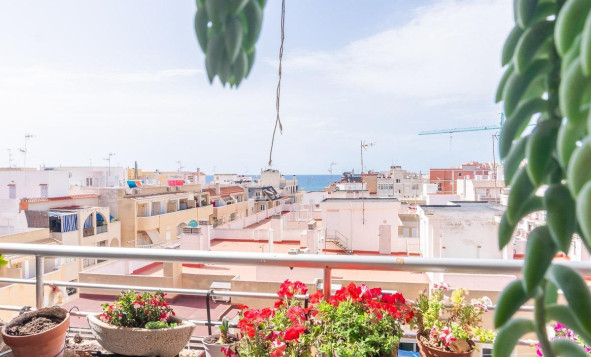 Reventa - 1. Apartamento / piso - Torrevieja - Curva del Palangre